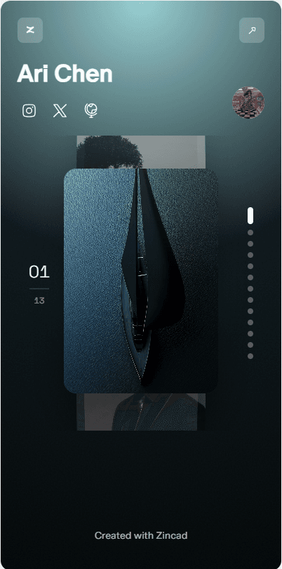 Ari Chen Zincad profile preview